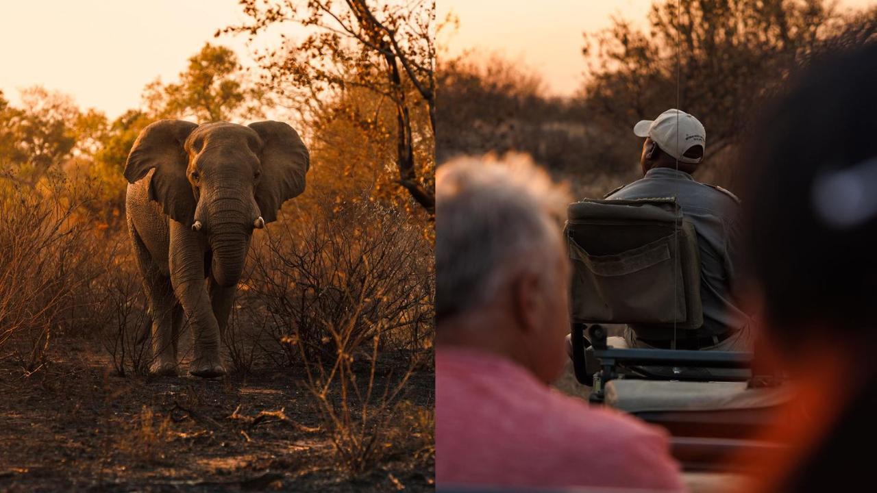 Geiger'S Camp In Timbavati Game Reserve By Newmark المظهر الخارجي الصورة