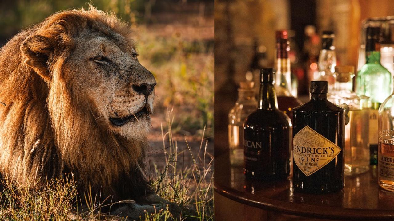 Geiger'S Camp In Timbavati Game Reserve By Newmark المظهر الخارجي الصورة