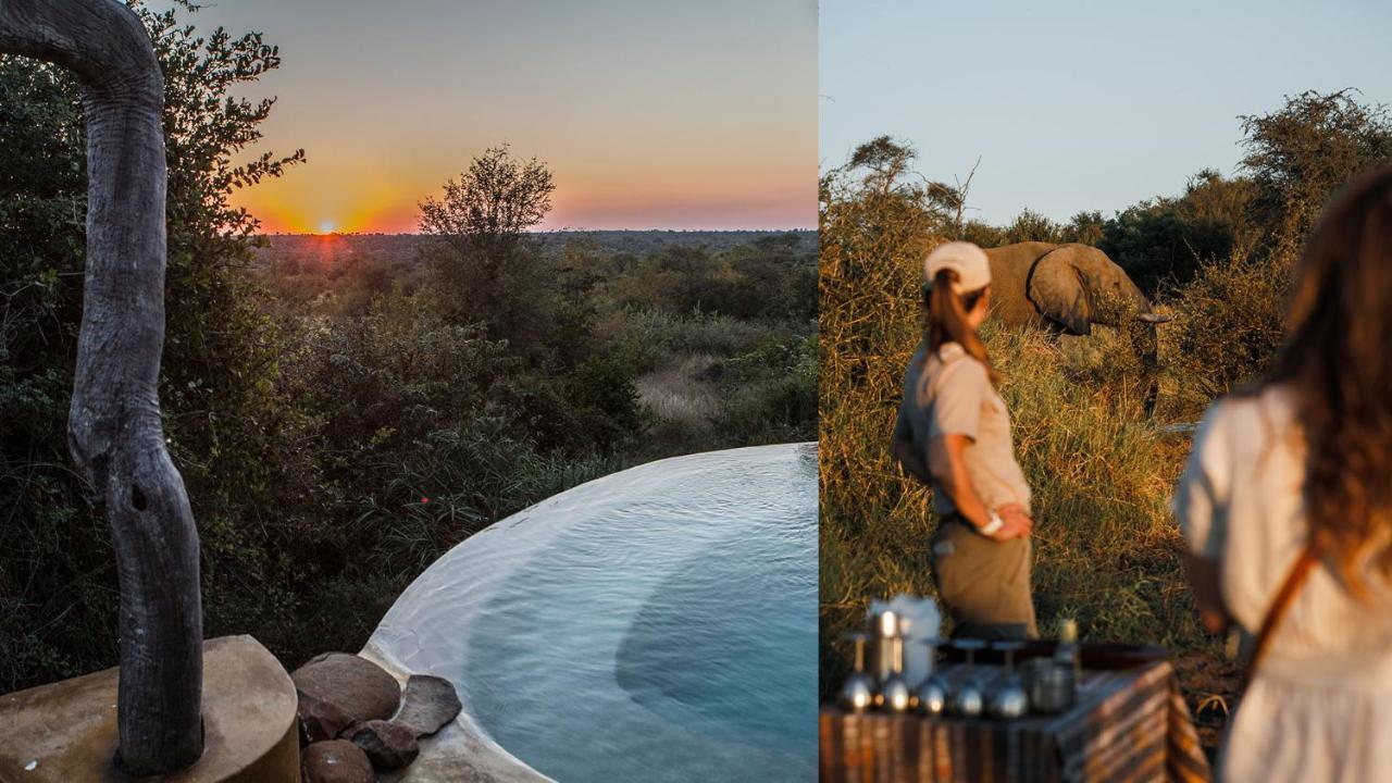 Geiger'S Camp In Timbavati Game Reserve By Newmark المظهر الخارجي الصورة