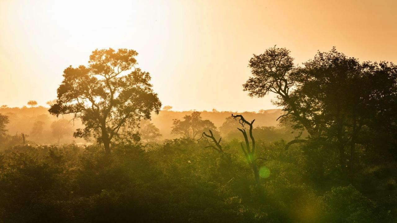 Geiger'S Camp In Timbavati Game Reserve By Newmark المظهر الخارجي الصورة